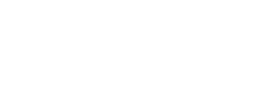 HEADER LOGO RO WHITE-03